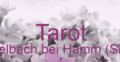 Tarot Seelbach bei Hamm (Sieg) | Top-Experten für Kartenlegen, Wahrsagen, Hellsehen, Zukunftsdeutung.